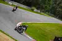Lower Group Silver_Grey Bikes